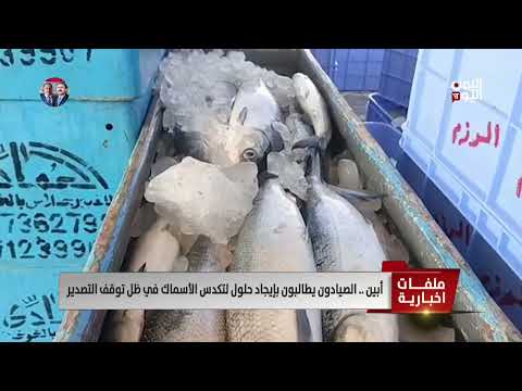 أبين... الصيادون يطالبون بإيجاد حلول لتكدس الأسماك في ظل توقف التصدير - تقرير: سمية جمال