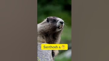 Santosh Name Fanny Video | Fanny Short Video | SANTOSH...😅