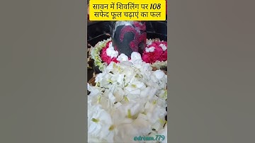 सावन में शिव जी को 108 सफेद पुष्प चढ़ाने का फल#mahadev #bholenath #shivpuran #pradeep #viral#shorts