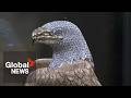 Lawsuit over missing solid gold eagle statue to go ahead, despite "inexcusable" delays