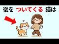 見逃さないで!愛されて育った猫だけが見せるかわいい行動と仕草【22選】 #雑学 #豆知識 #トリビア