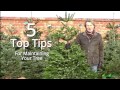 How to maintain your real Christmas tree - 5 top tips - David Domoney #Garden #Gardening