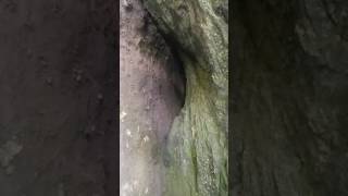Daniel Boones cave