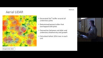 Overstory Growth and Understory Regeneration at the LTEP Experiment in Sappho, WA