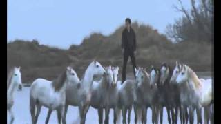 lorenzo new dvd 2011 french fly horse man video