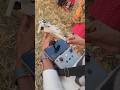 DJI mini 2 #reels #shortvideo #shorts #djimini2 #drone #dji #camera #new #video #viralsong #ytshorts
