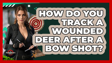 How Do You Track A Wounded Deer After A Bow Shot? - The Marksman