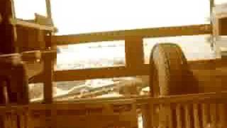 Cedar Point Demon  Drop ride