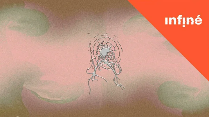 Deena Abdelwahed, Basile3 - Hyaluron