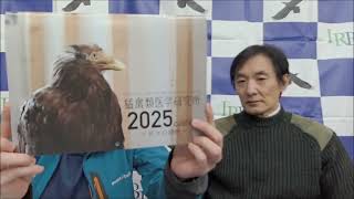 猛禽類学 識別ガイド 日本の猛禽類 タカ・ハヤブサ類 Hobby's World｜野鳥
