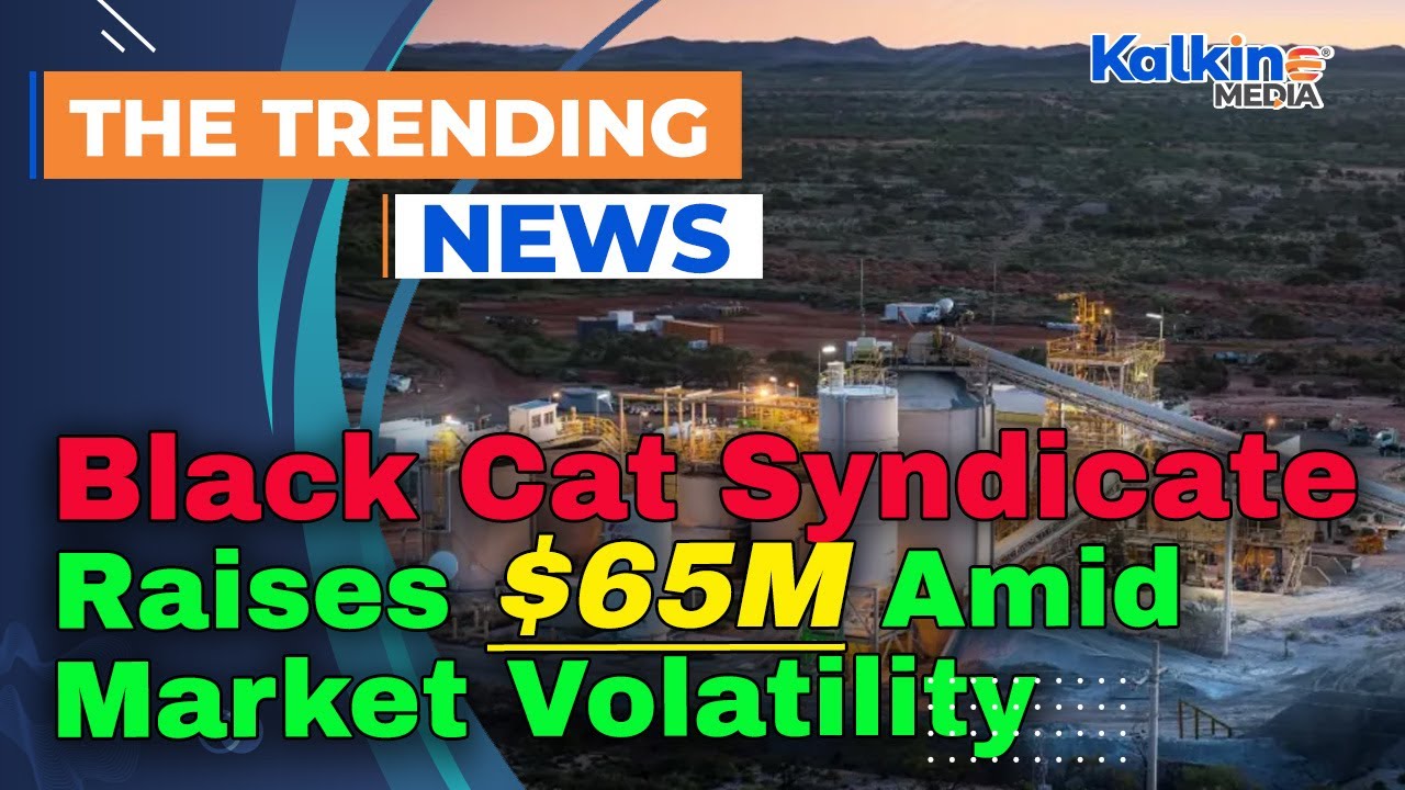 Black Cat Syndicate Raises $65M Amid Market Volatility