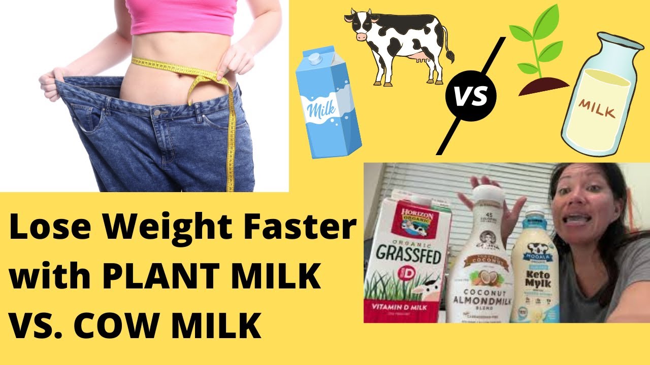 Lose weight faster with plantbased milk versus regular dairy (cow’s
