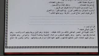 حل نموذج استرشادي وزارة 2020 | لغة عربية للصف الاول الثانوي