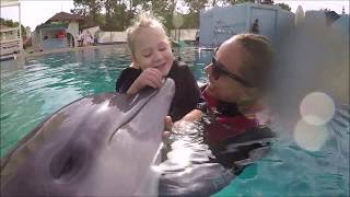 Dolphin Therapy Land  (Mila)