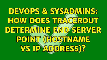 DevOps & SysAdmins: How does tracerout determine end server point (hostname vs ip address)?