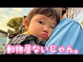 愛する娘とお出かけしたらハプニングだらけの巻