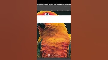 Simple Polaroid Photo Effect in GIMP