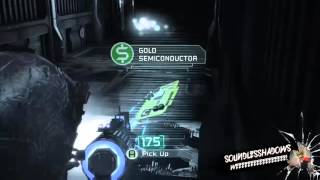 Chapter 4 Gold Conductor Duplication