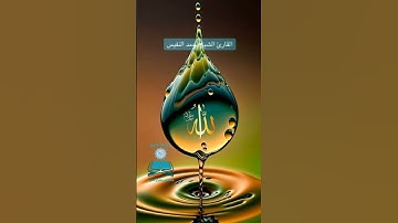 ﴿ لَقَدْ جَاءَكُمْ رَسُولٌ مِّنْ أَنفُسِكُمْ ... تلاوة مؤثرة بصوت القارئ احمد النفيس 🌙 سورة التوبة