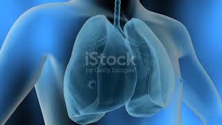 istockphoto 145665920 640 adpp is istockphoto 145665920 640 adpp is