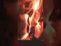مناقيش زعتر وكشك 