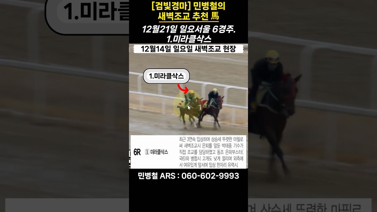 #12월21일 일요일! 민병철의 새벽조교 우수馬!