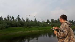 Эвенкия. Поймал щуку монстра на 15 кг .   fishing catching a monster pike weighing 15 kg