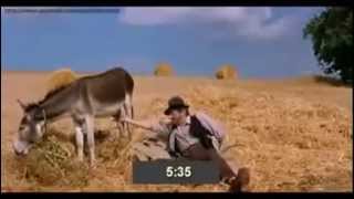 Прикол. Как по яйцам осла определить время.Funny. How to verify time with donkey testicles. Прикол. Как по яйцам осла определить время.Funny. How to verify time with donkey testicles.
