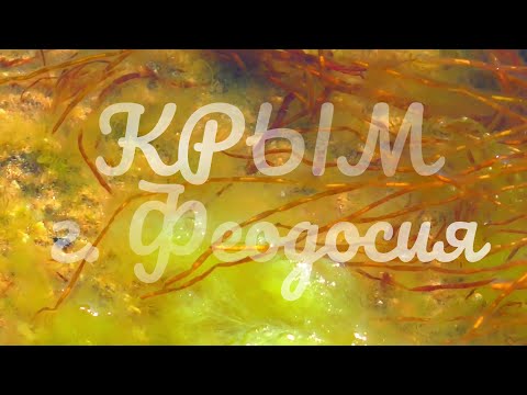 КРЫМ г. Феодосия
