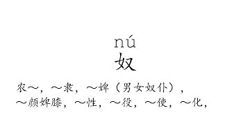 Learn Chinese with strokes, pronunciation and words (How to pronounce Chinese character 奴)