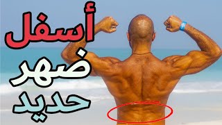 أقوى 20 تمرين لتأهيل و علاج و التخلص من كل مشاكل + اصابات أسفل الظهر | LOW BACK REHAB