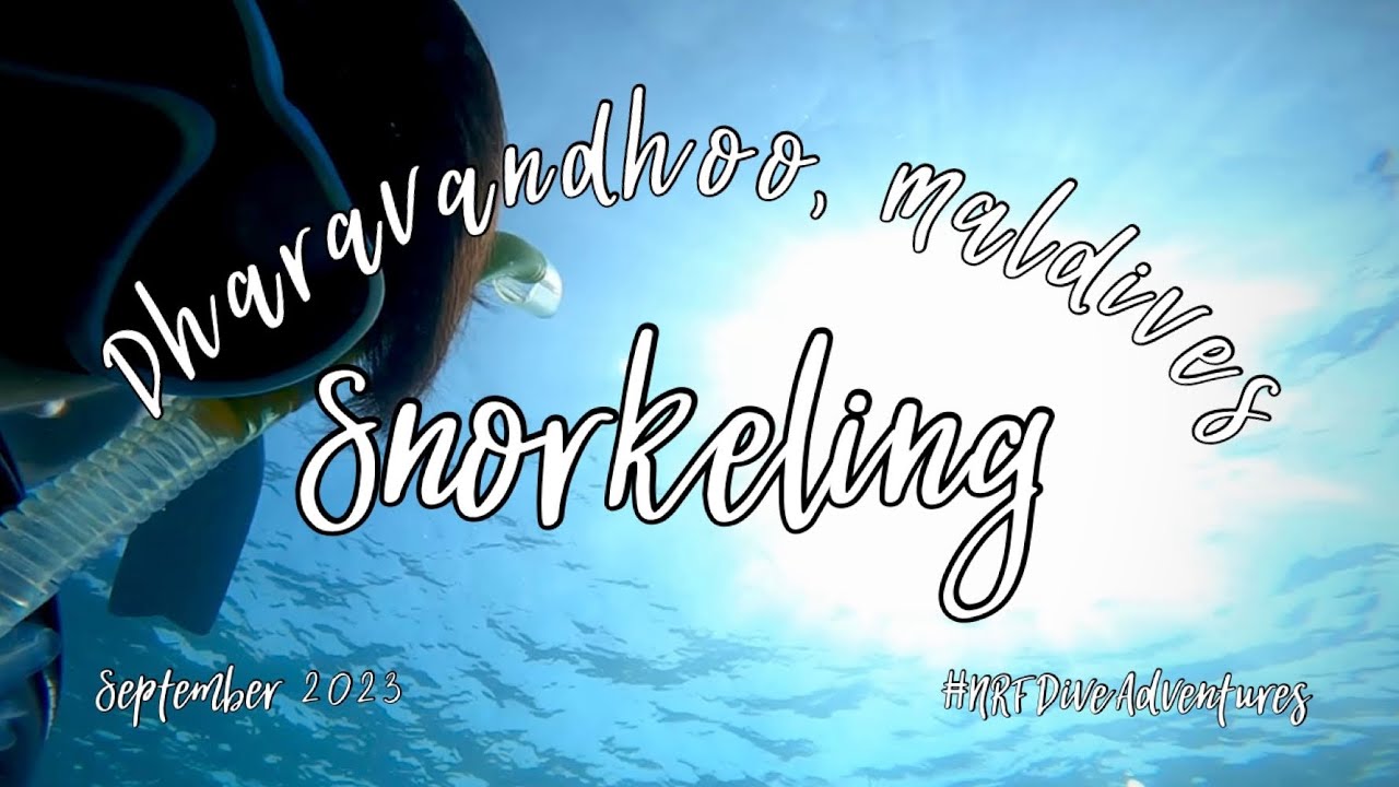 Snorkeling at Dharavandhoo, Maldives | Aidhoo | Dhonfanu | Hanifaru Bay | Whalesharks | Manta Rays
