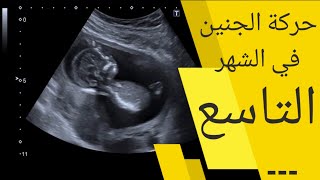 حركة الجنين في الشهر التاسع | قلة حركة الجنين في الشهر التاسع | ضعف حركة الجنين فى الشهر التاسع