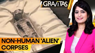 Gravitas: Non-human 'Alien' corpses in Mexico