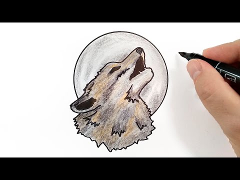 Как нарисовать Волк воет на луну
