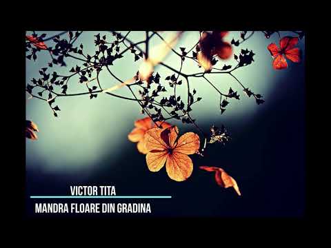 Selectie pentru Florii / Ileana Sararoiu / Mioara Velicu / Dan Spataru