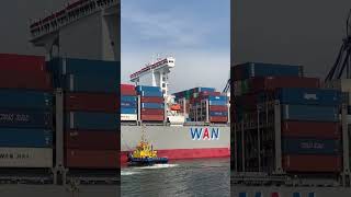 Maniobra de atraque WAN HAI LINESA06 APM TERMINAL QUETZAL 🚢QUIENES HABIAN VISTO UNO DE CERCA