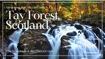 Scotland | Tay Forest | Hermitage | Best Attraction in UK | Relaxing Travel Video