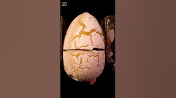 ASMR Dinosaur egg breaking with vise close up macro #short #satisfying #closeup #asmr #macro
