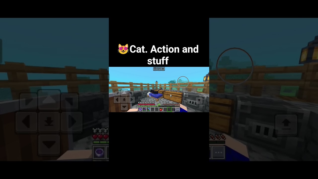 cat. acion and stuff 