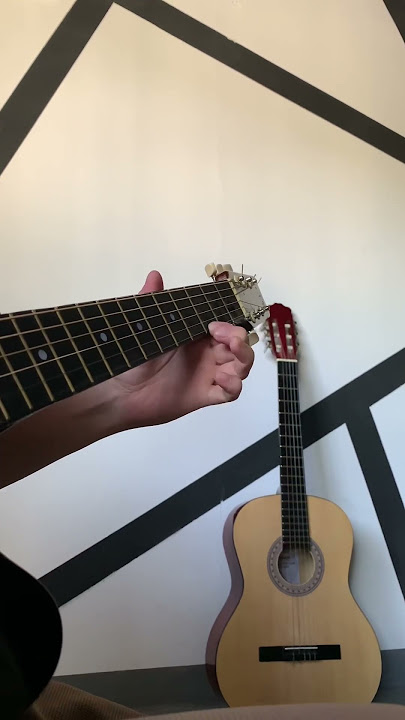 Acoustic guitar