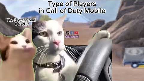 Type of Players in Call of duty mobile ( Meme Cat Edition)