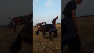 Прикол.всадник без головы