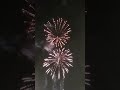 fireworks 🎆 🎇 count down at Dumaguete City Boulevard.(New Year 2024).#fypシ #fypシ゚viral #fypyoutube