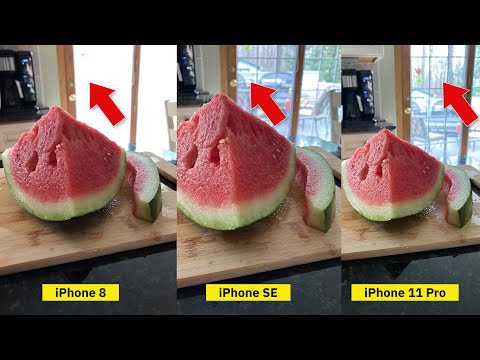 Camera Comparison: 2020 iPhone SE vs. iPhone 8 and iPhone 11 Pro