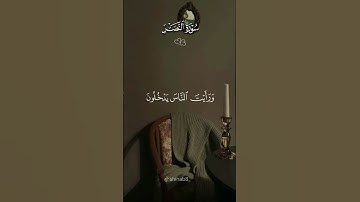 #قرآن #سورة النصر #الشيخ محمد البراك