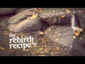 The Rebirth Recipe - Filipe Blanquet - Teaser
