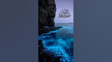 #doha #الضحى #سورة الضحى#quran #القارئ #الله