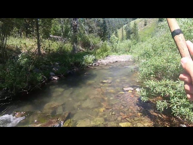 Catching Native Cutthroat Trout in the Mountains (Tenkara Fly