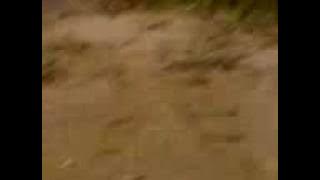 helmi kena REJAM!!!!